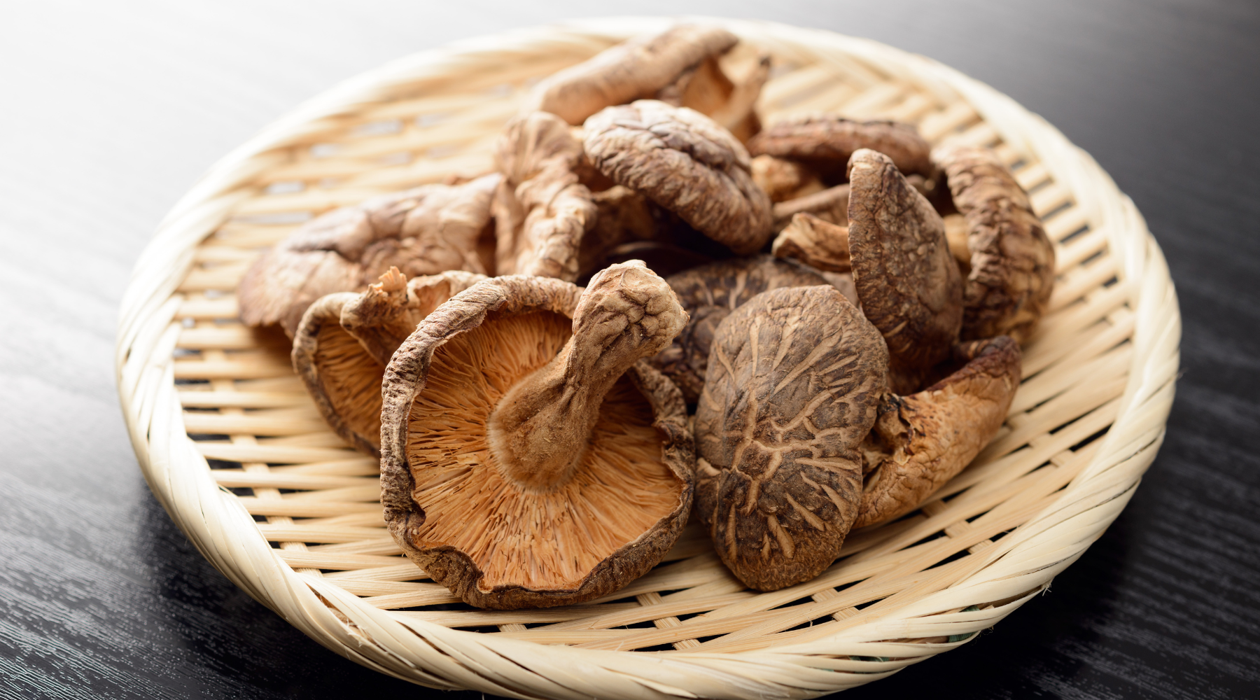 are portobello mushrooms safe for dogs