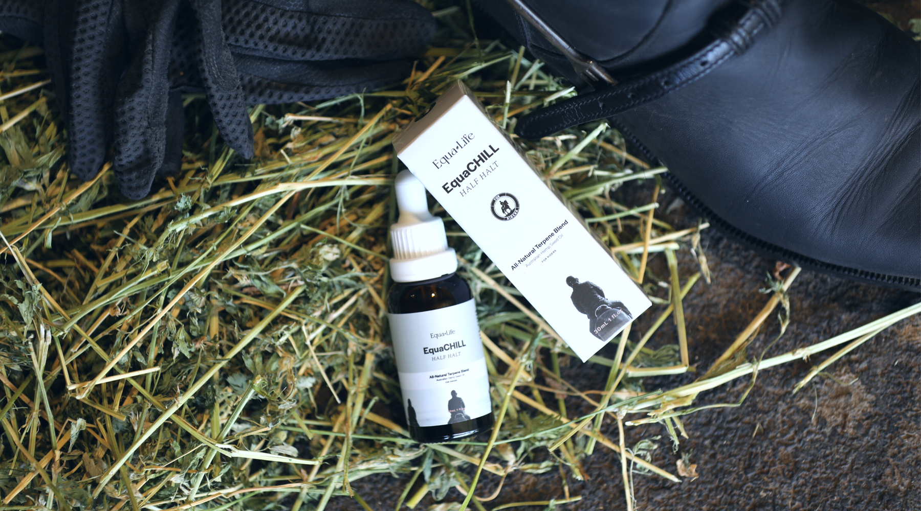 5 Ways to Your Best Rider Health – EquaCare