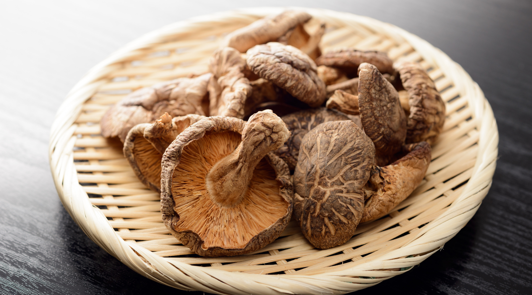 The Power of Mushrooms for Dogs and Cats
