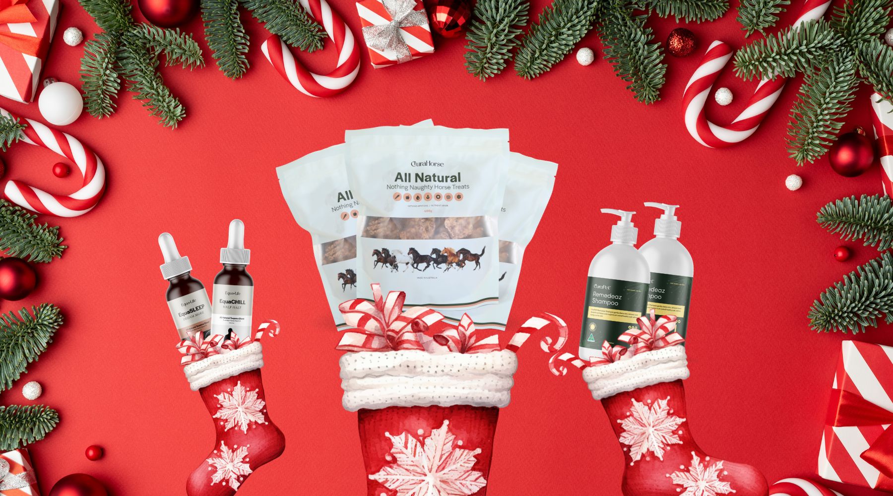 EquaCare’s Christmas Gift Guide