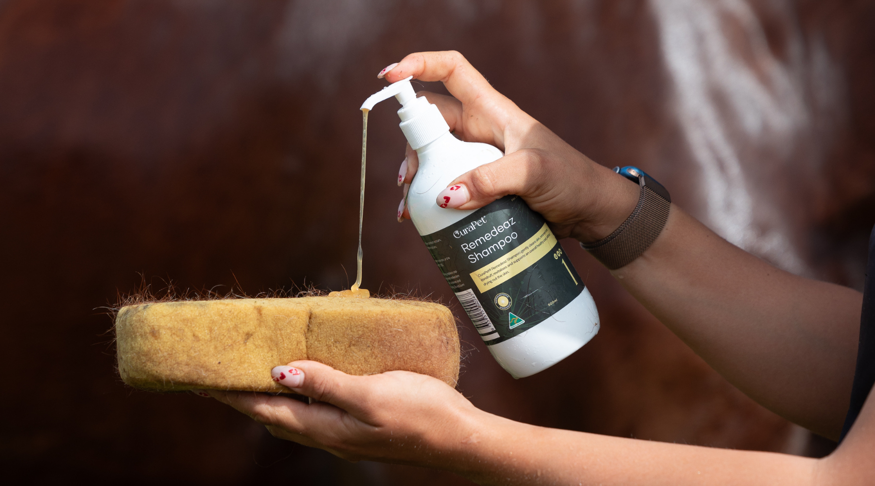 Greasy Heel and Rain Scald? Here’s How to Support Healing Beyond the Skin