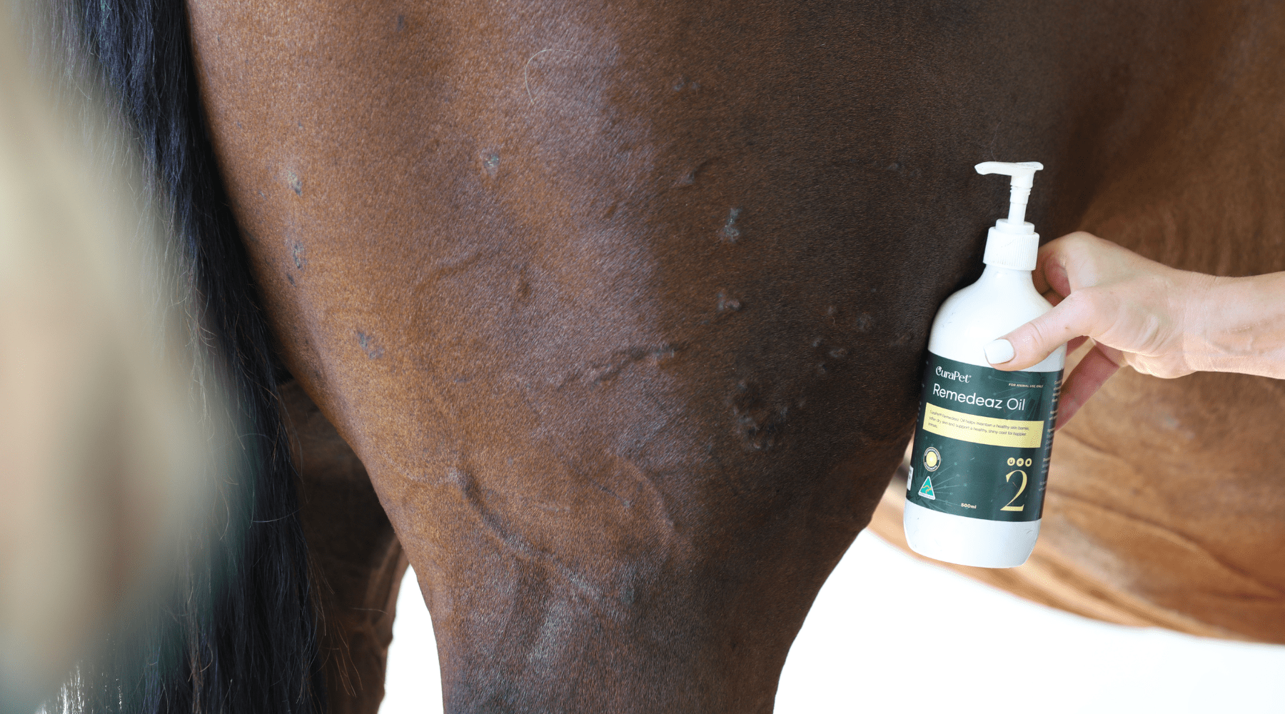 Plant Oils,The Natural Choice for horse coats