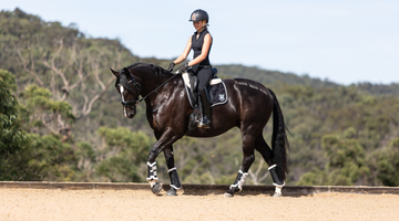 Sensitive Skin Season: How to Protect Your Horse Through Spring & Summer