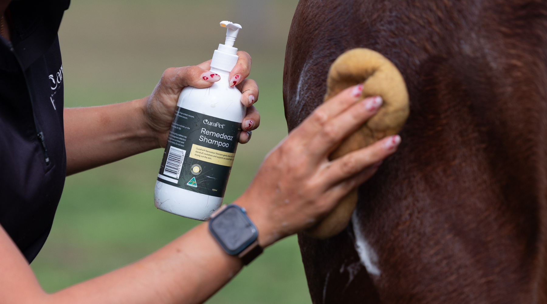 Supporting Your Horse’s Skin & Immunity Through the Cold Months