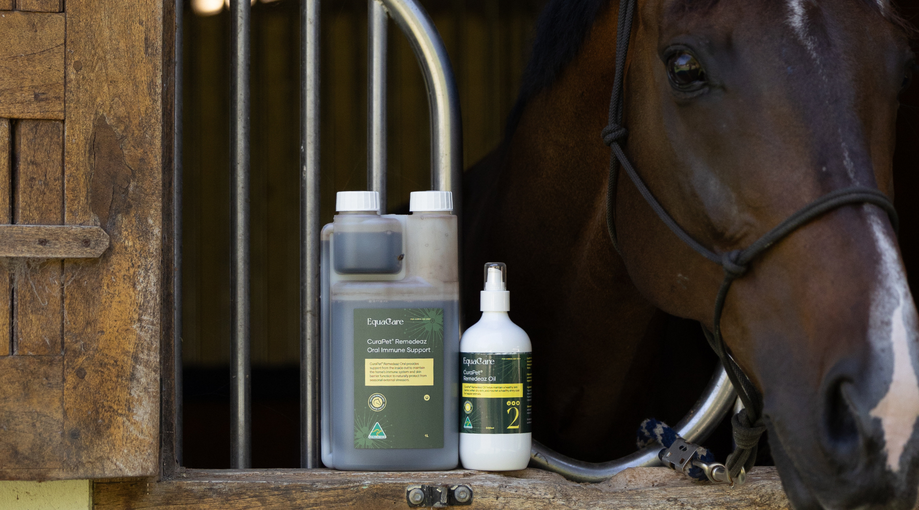 Tired of Queensland Itch? Here’s How to Help Your Horse from the Inside Out