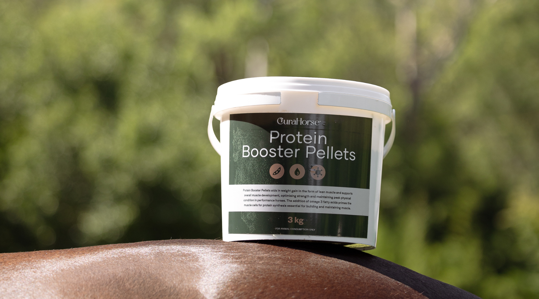 Top Supplements for Muscle and Condition: Why Riders Love EquaCare