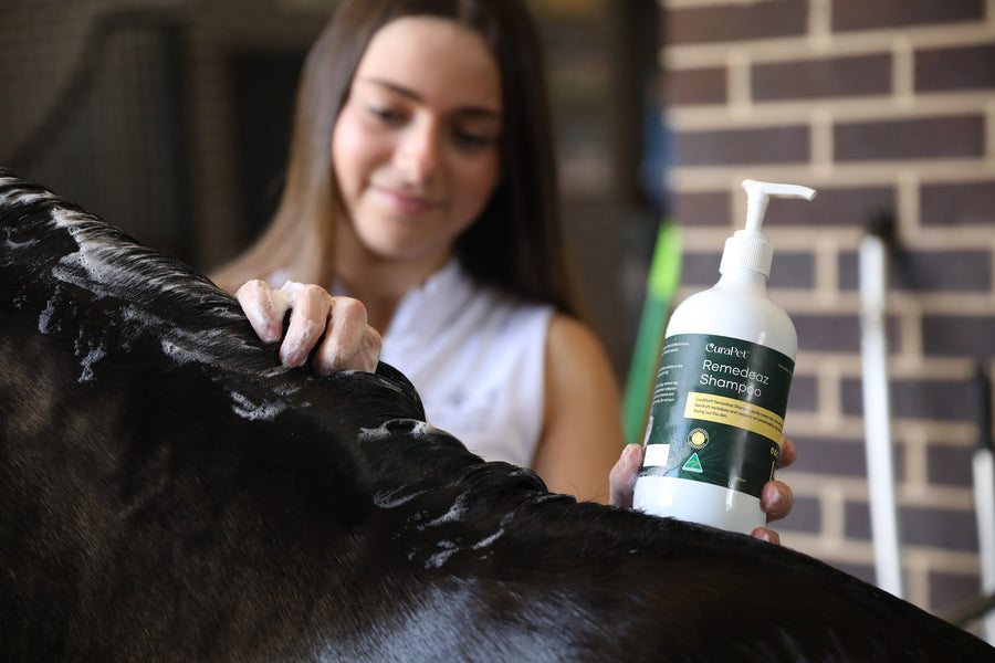 Remedeaz Horse Shampoo, Oil & Hair Treatment EquaCare
